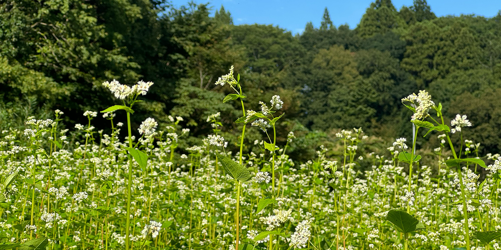 空海工房の玄関前の様子